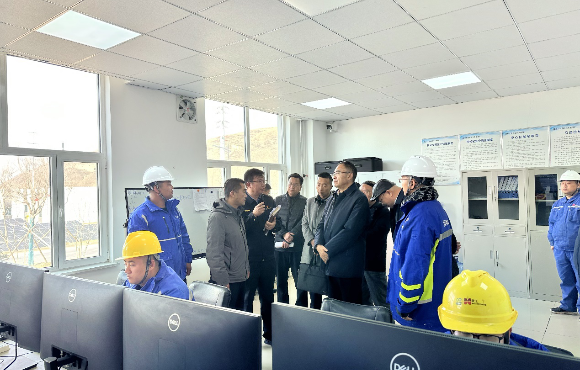 青海省生態環境廳黨組書記、廳長湯宛峰調研麥王項目