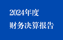 節(jié)能國禎2024年度財(cái)務(wù)決算報(bào)告（簡(jiǎn)版）